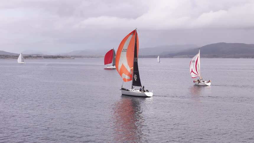Colorful sailboats with large spinnakers glide across the calm sea during a regatta on an overcast day