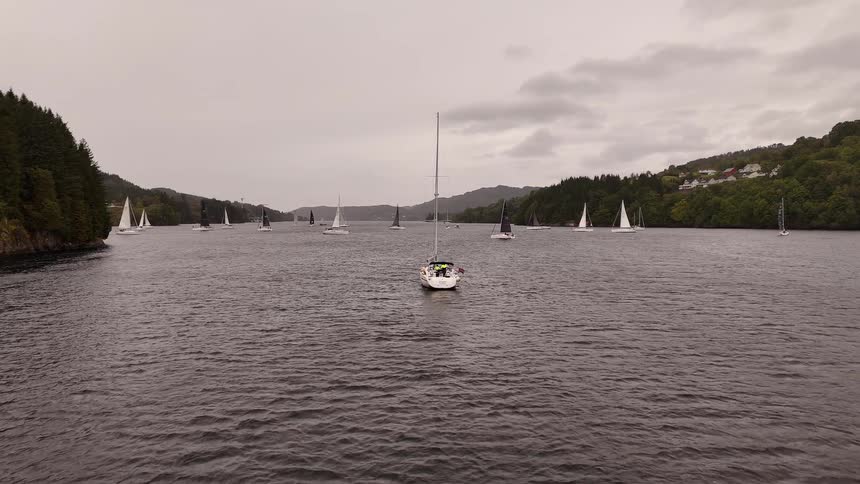 A fleet of sailboats gracefully glides through a wide river during a regatta on a calm, overcast day
