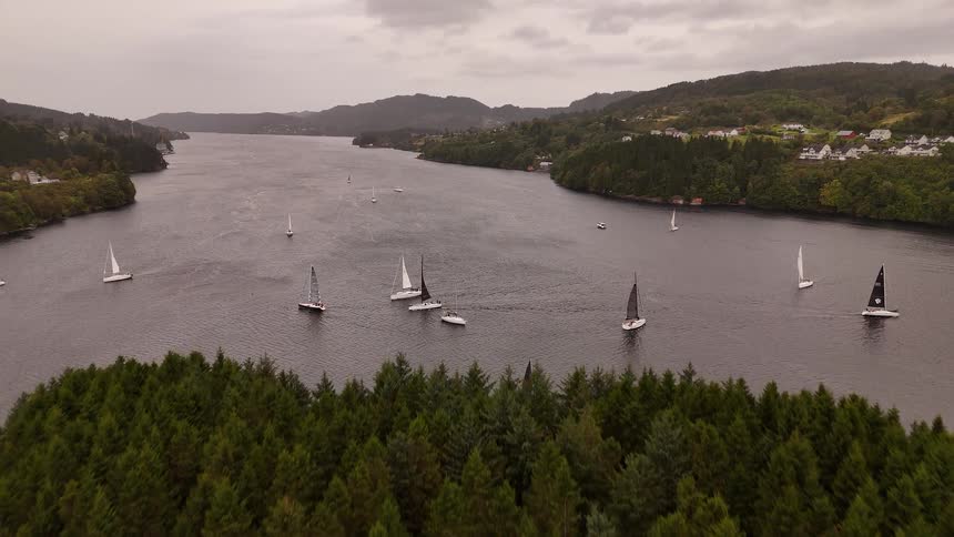 Drone rises over a forested peninsula to reveal a stunning view of sailboats on a wide fjord under an overcast sky