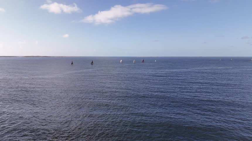 A fleet of sailboats gracefully glides across the vast open sea on a bright and clear day