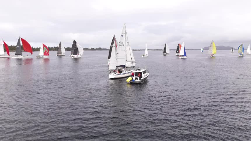 A fleet of sailboats with vibrant spinnakers competes in a regatta on a calm, overcast day
