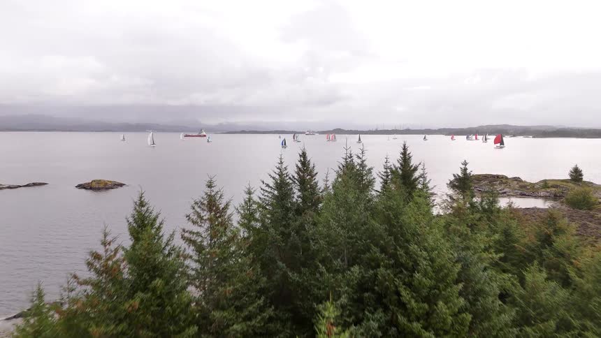 Drone flies over a small rocky island with pine trees to reveal a sailing regatta on a vast fjord on an overcast day