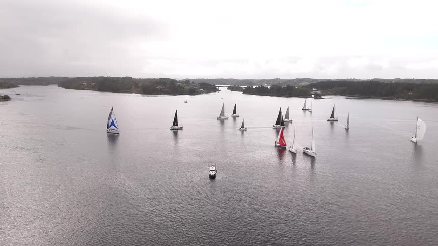 A static aerial shot captures a flotilla of racing sailboats gliding across a vast body of water on an overcast day