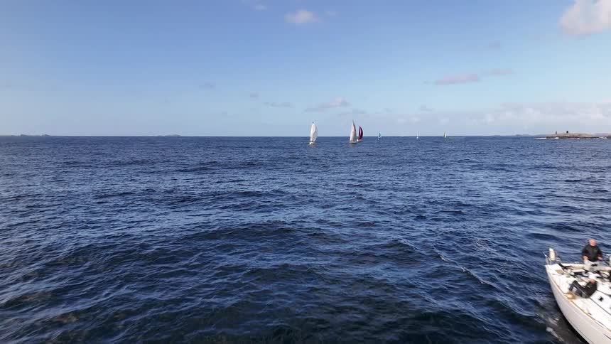 A stunning low-level drone shot captures modern sailboats racing across the vast, deep blue ocean on a beautiful sunny day