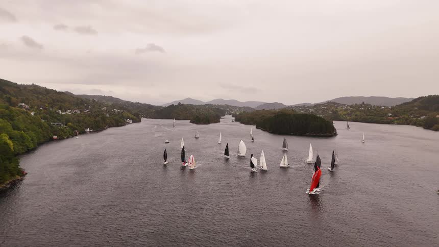 An aerial view captures a fleet of sailboats with colorful spinnakers competing in a regatta on a vast fjord