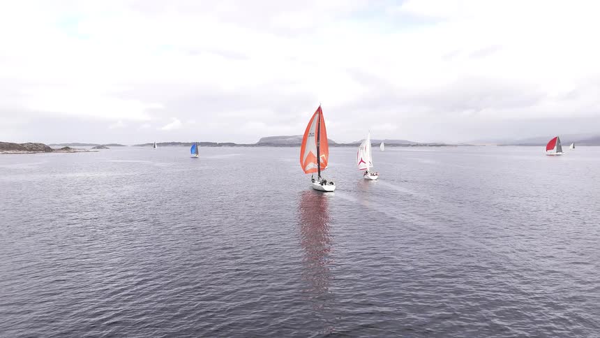 Colorful sailboats with large spinnakers race across the open water during a regatta