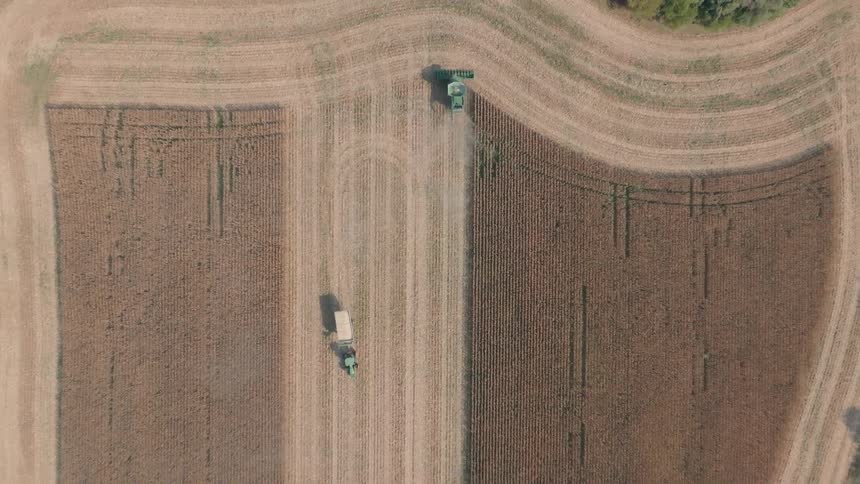 Top-down aerial view shows a combine harvester and tractor at work in a large soybean field during the autumn harvest
