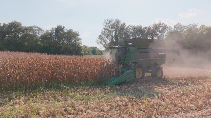 A combine harvester moves slowly through a field, harvesting dry corn and kicking up a cloud of dust