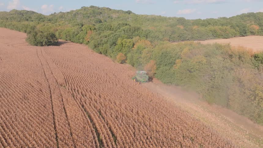 An aerial view shows a combine harvester gathering corn in a vast, dry field during the autumn harvest