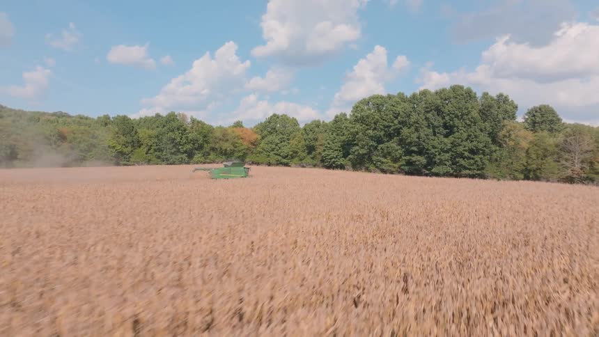 A cinematic drone shot flies low over a golden crop field, revealing a combine harvester at work on a beautiful day