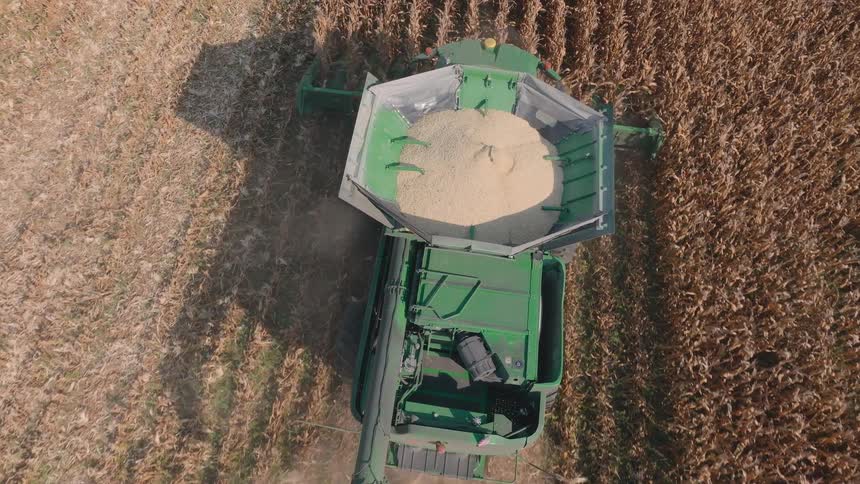 An aerial top-down view shows a green combine harvester moving through a field, its hopper steadily filling with harvested corn kernels
