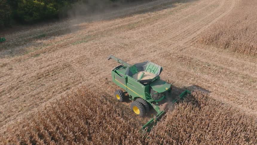 High aerial view follows a combine harvester as it efficiently gathers crops from a vast cornfield on a clear day