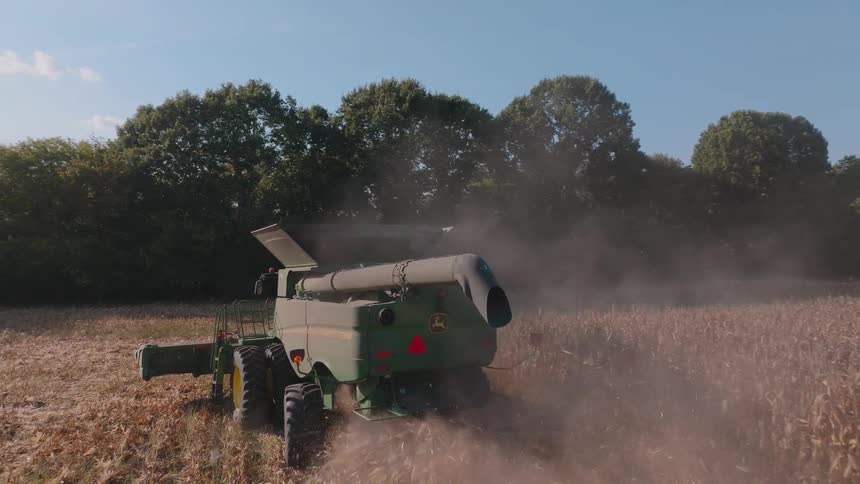 Slow motion rear view of a combine harvester kicking up dust while harvesting a cornfield on a sunny day