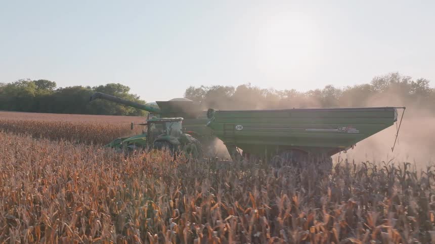 A combine harvester transfers freshly harvested corn into a tractor-pulled grain cart amidst a dusty field at sunset