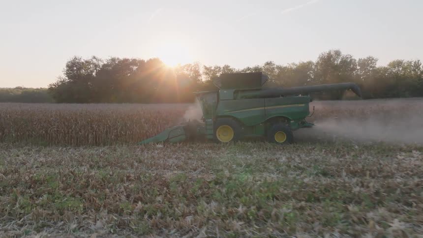 A green combine harvester cuts through a dusty cornfield at sunset, kicking up clouds of chaff