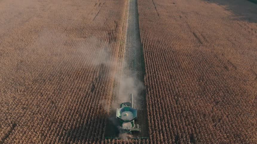 A high-angle drone shot tracks a combine harvester cutting through rows of golden corn, revealing a wide rural landscape during the fall harvest