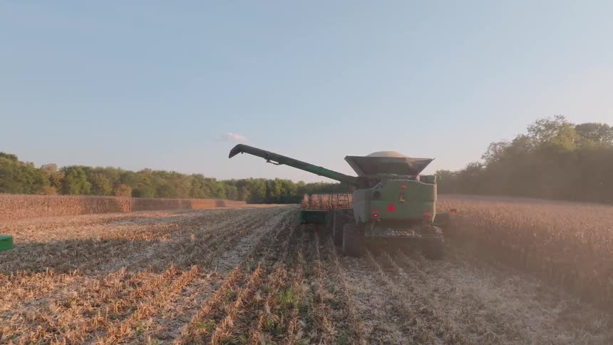 A combine harvester unloads freshly harvested corn into a grain cart pulled by a tractor during a dusty autumn harvest at golden hour