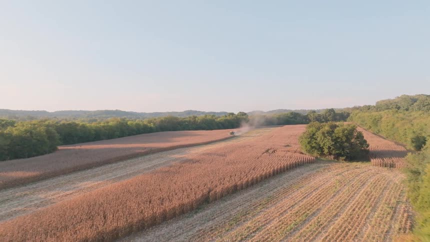 An aerial view reveals a combine harvester gathering corn in a vast rural field at sunset