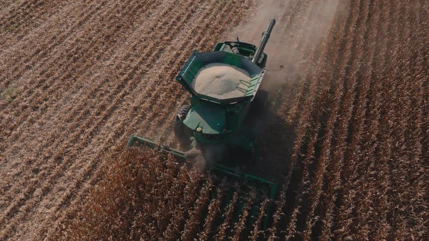 High-angle aerial view of a green combine harvester moving through a vast, dry cornfield, actively gathering grain into its full hopper during the autumn harvest