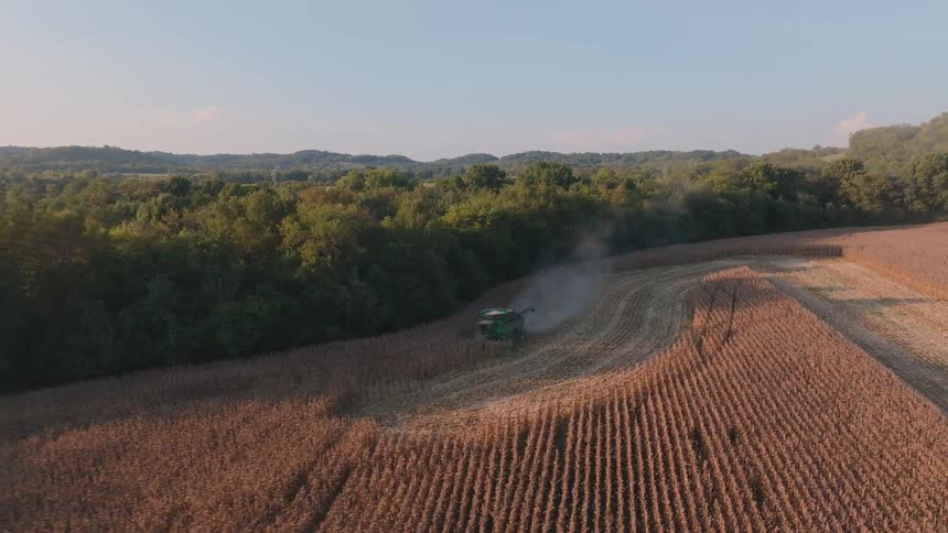 A drone slowly pulls back to reveal a combine harvesting a vast, golden cornfield during a beautiful rural sunset