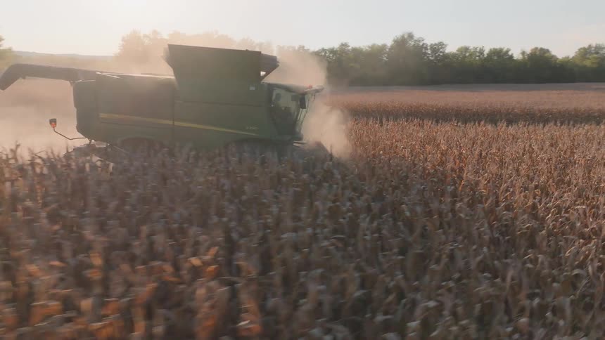 An aerial view follows a combine harvester as it moves through a dusty, golden cornfield during the autumn harvest at sunset