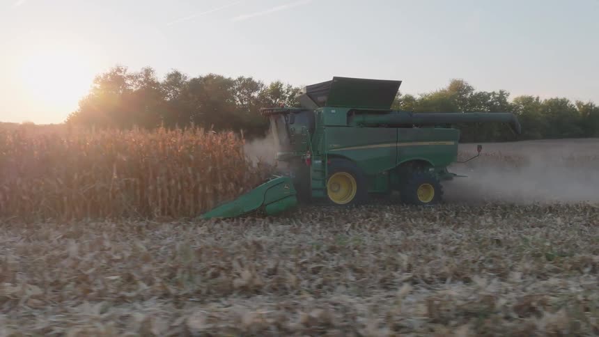 A large combine harvester cuts through a dusty cornfield at sunset during the autumn harvest