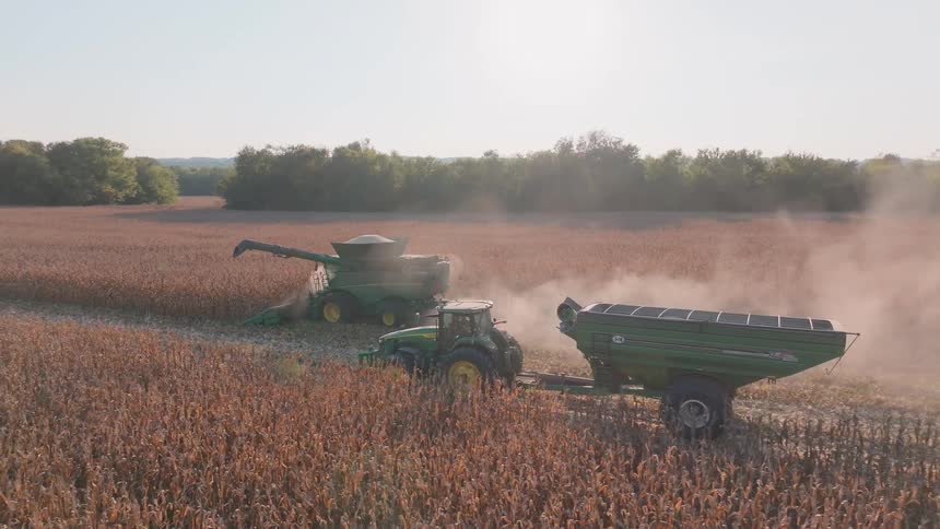 A combine harvester offloads grain into a tractor-pulled cart while harvesting a vast cornfield in the late afternoon sun