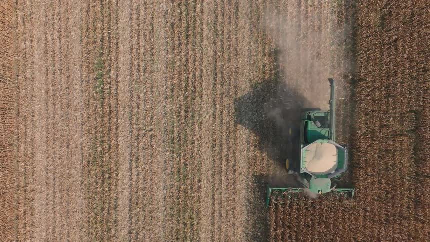 From a birds-eye view, a modern combine harvester steadily works its way through a vast, dry cornfield during the autumn harvest