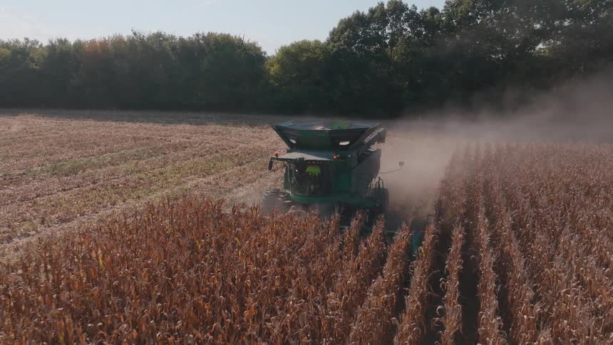 Slow motion aerial shot follows a combine harvester as it drives through a dry cornfield kicking up dust in the sun