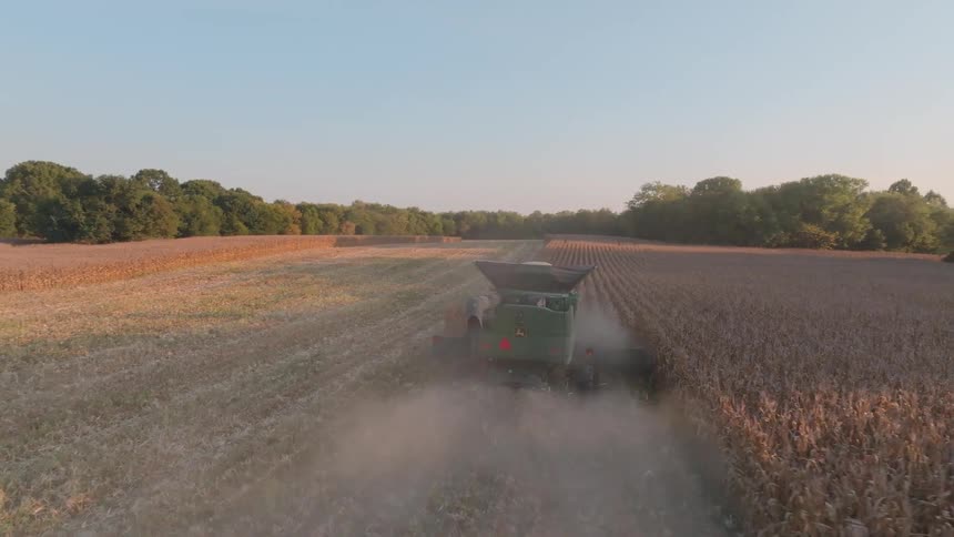 A combine harvester drives through a corn field at sunset, kicking up dust as it harvests the crop