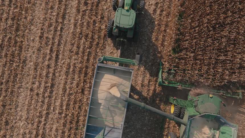 A rising top-down aerial shot shows a combine harvester offloading its golden grain into a tractor-pulled cart while continuing the harvest