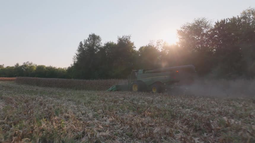 A combine harvester works through a cornfield in slow motion as the golden hour sun sets in the background