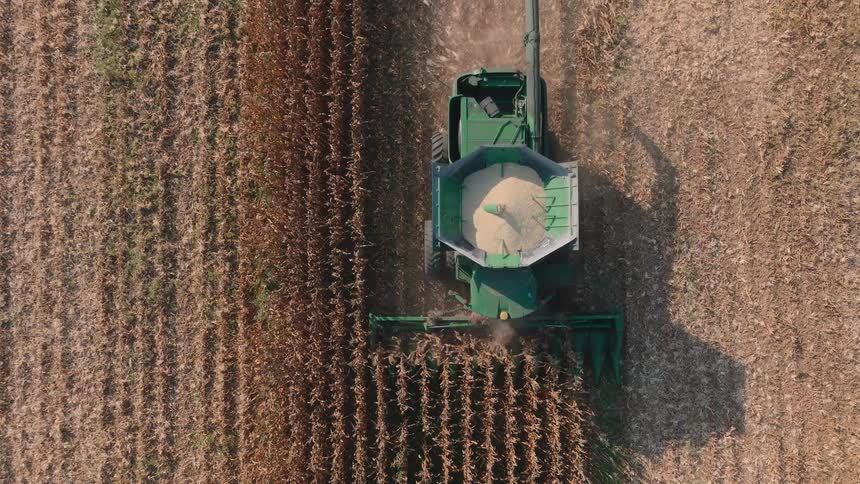 Top-down aerial view of a green combine harvester moving through a field, gathering the dry corn crop during the autumn harvest