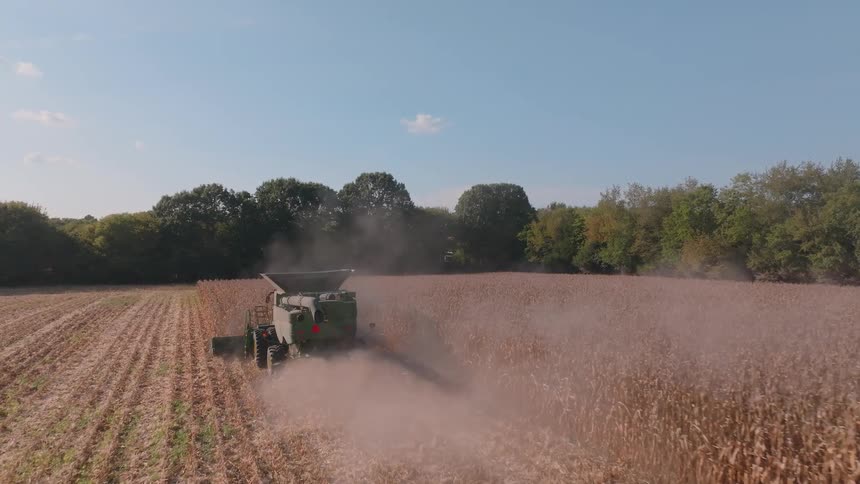 A combine harvester drives through a vast cornfield on a sunny day, kicking up dust as it collects the autumn harvest