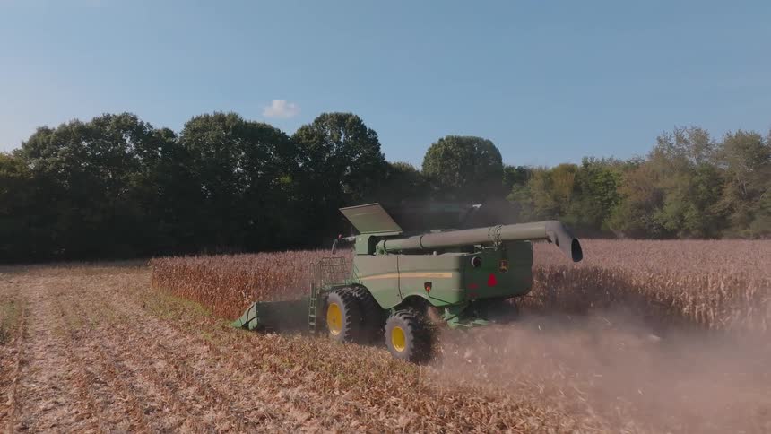 Slow motion rear view of a combine harvester working its way through a dusty cornfield on a bright sunny day