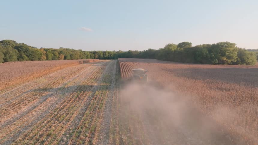 Aerial footage follows a combine harvester as it drives through a vast crop field, kicking up dust during a golden hour sunset