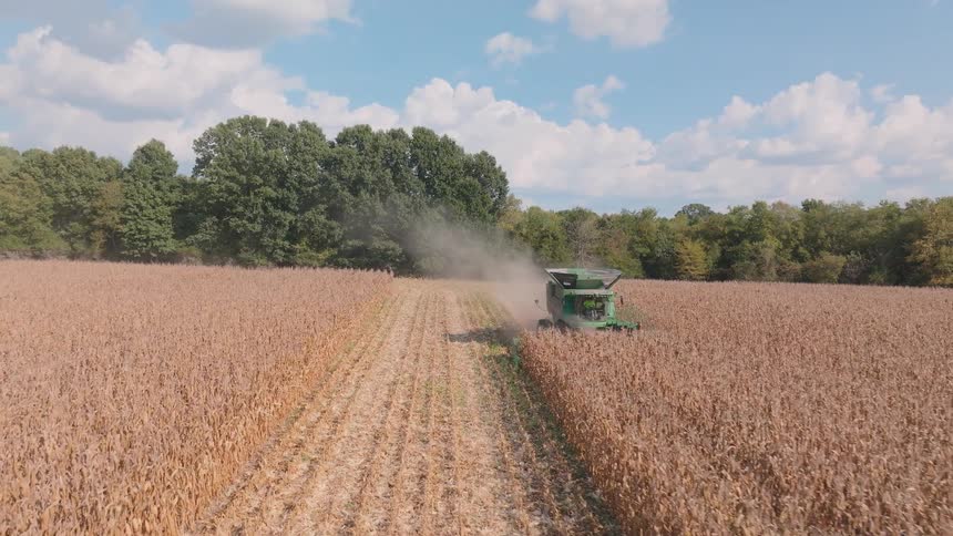 Aerial view of a green combine harvester moving through a dry cornfield, kicking up dust as it gathers crops on a sunny day