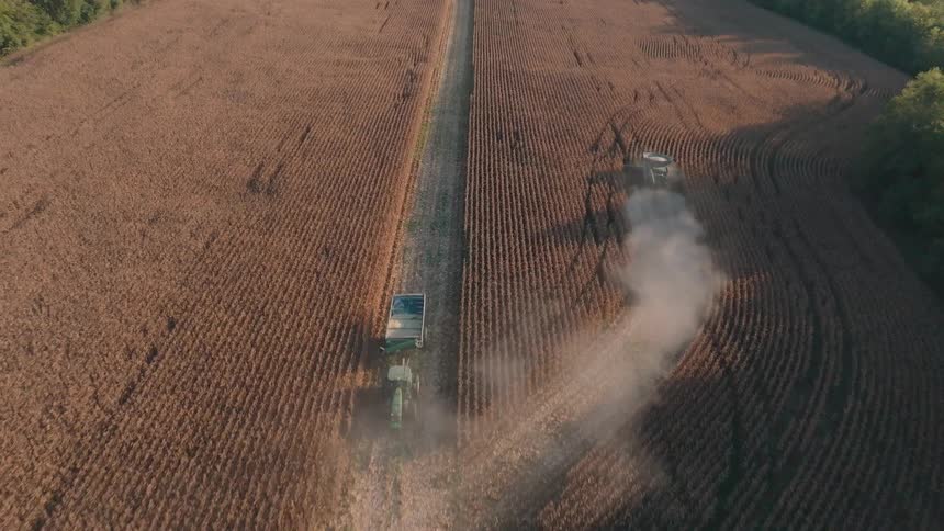 A rising aerial shot reveals two combines harvesting a vast cornfield, surrounded by lush green forest under a clear sky