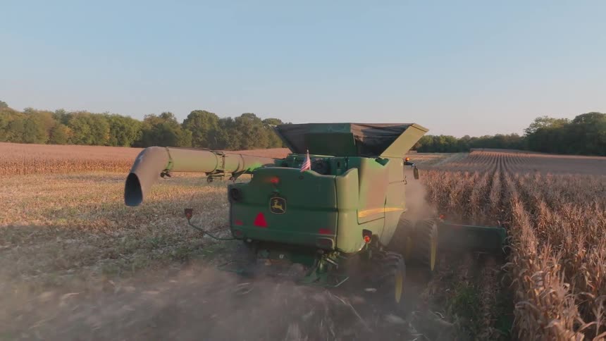 Drone footage follows closely behind a green combine harvester as it kicks up dust while harvesting corn during a scenic golden hour sunset