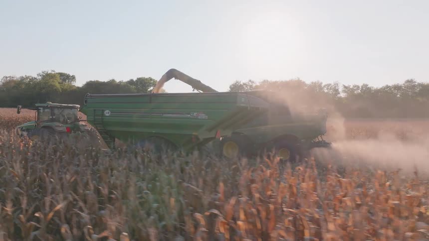 A combine harvester transfers freshly harvested corn into a grain cart pulled by a tractor in a dusty, sunlit field in slow motion