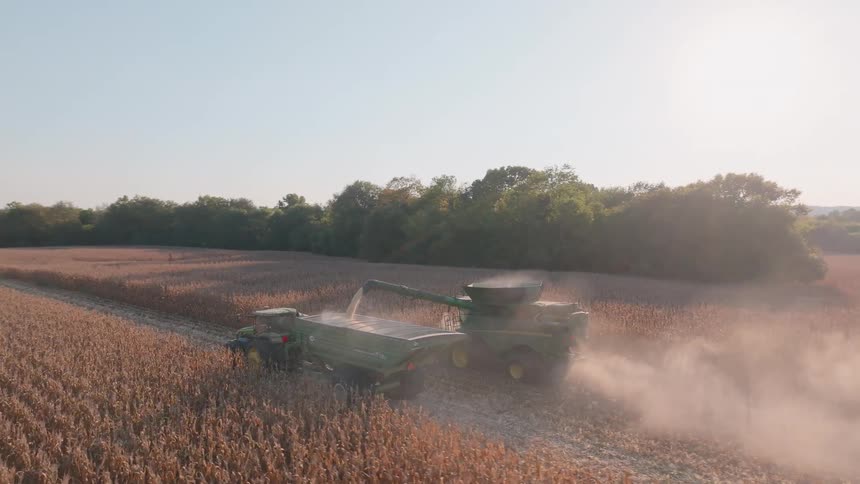 An aerial shot follows a combine harvester as it harvests a cornfield and offloads grain into a tractor's cart in the hazy afternoon sun