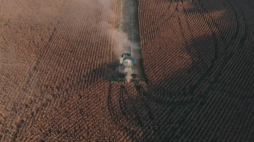 An aerial drone shot follows a combine harvester as it moves through a vast, golden cornfield, kicking up dust during the autumn harvest