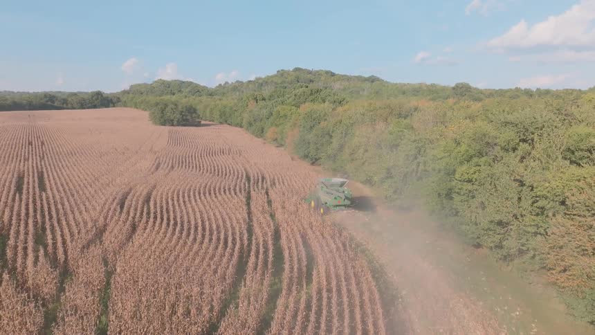 An aerial view captures a combine harvester kicking up dust as it works through rows of dry corn during the autumn harvest season