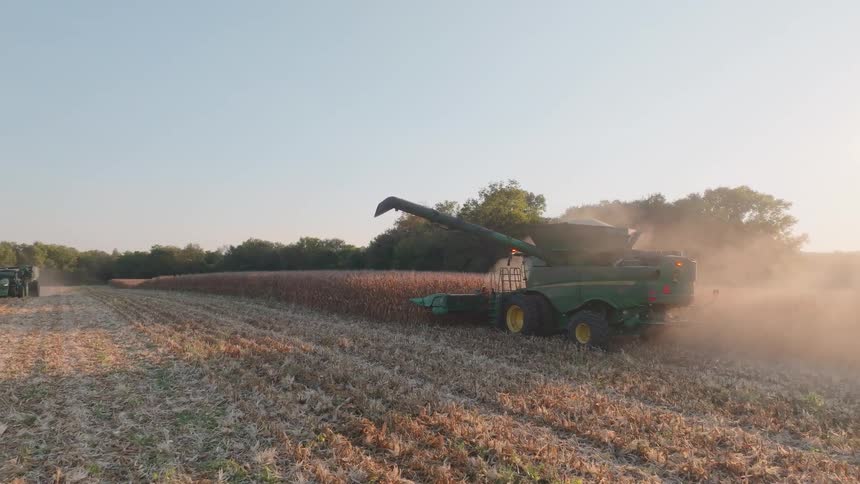 A combine harvester kicks up dust as it moves through a cornfield during a golden hour sunset