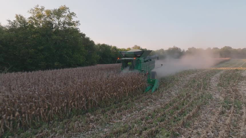 A combine harvester moves through a dry cornfield during the autumn harvest, kicking up a large cloud of dust