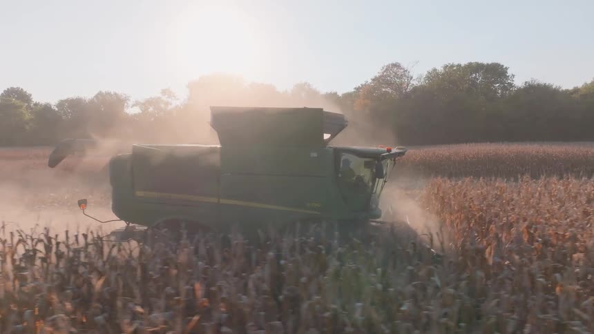An agricultural combine harvester slowly makes its way through a dry cornfield, kicking up dust and chaff in the hazy sunlight