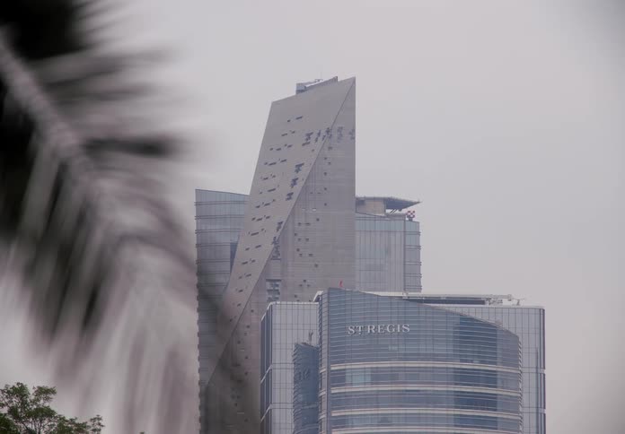 A rack focus shot transitions from a silhouetted palm frond to modern skyscrapers on an overcast day