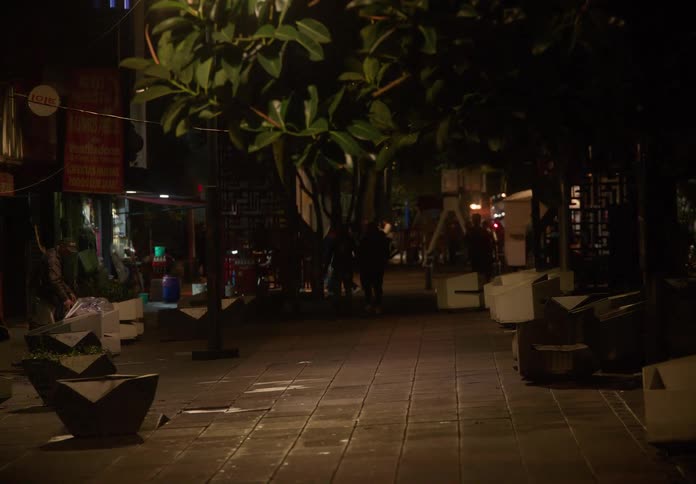 A slow push-in shot along a quiet, tree-lined city sidewalk at night with soft ambient lighting