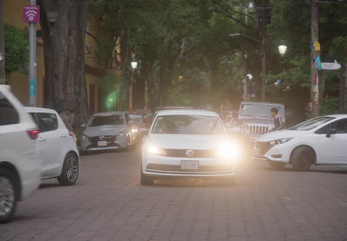 Slow-moving traffic with headlights on navigates a narrow, tree-lined cobblestone street in a city