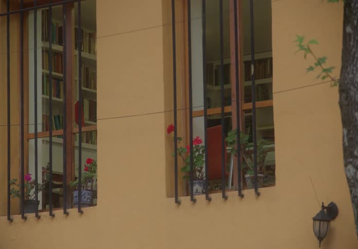 Slow zoom on the exterior windows of a charming yellow building, revealing a cozy library with bookshelves inside